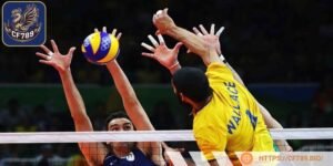 Mang đến hành trình giải trí hấp dẫn và đầy màu sắc