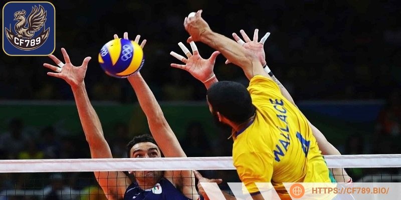 Mang đến hành trình giải trí hấp dẫn và đầy màu sắc