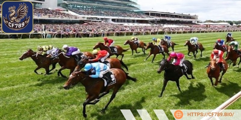 Lựa chọn nhà cái uy tín đóng vai trò then chốt trong quá trình cá cược