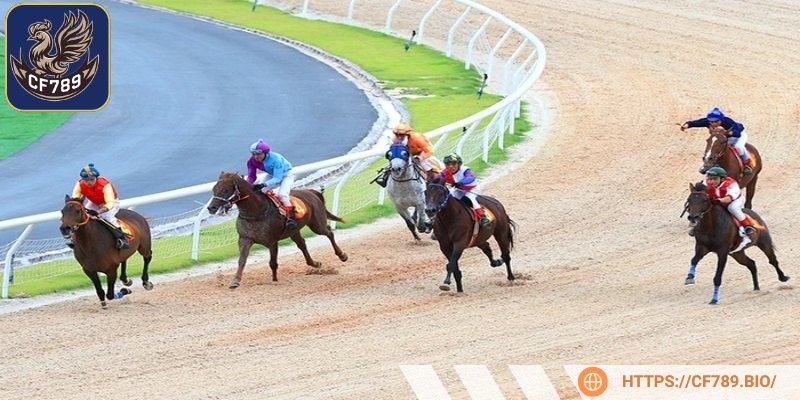Tìm hiểu khái niệm cá cược đua ngựa