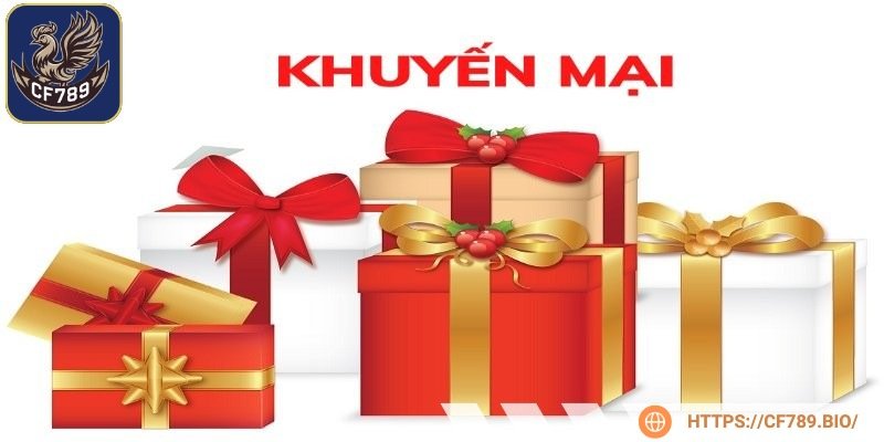 Điều khoản và điều kiện trong những ưu đãi