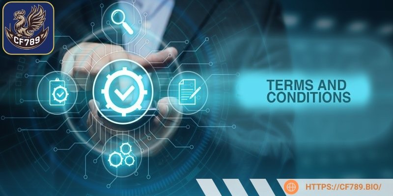 Điều khoản và điều kiện về thông tin, tài khoản cá nhân