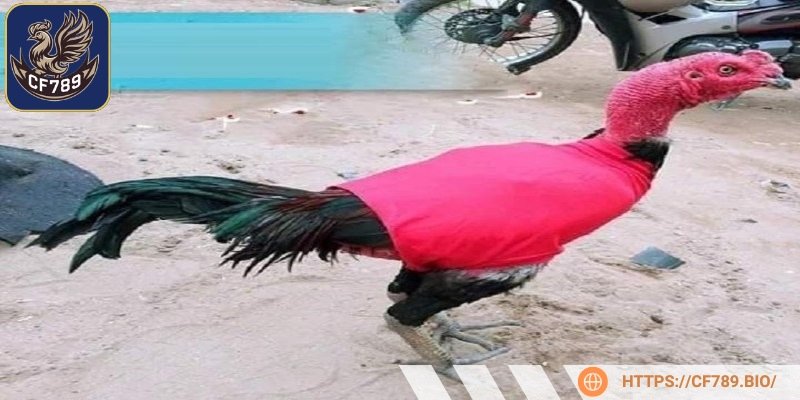 Môi trường không đảm bảo dễ dẫn đến các vấn đề về khớp và xương