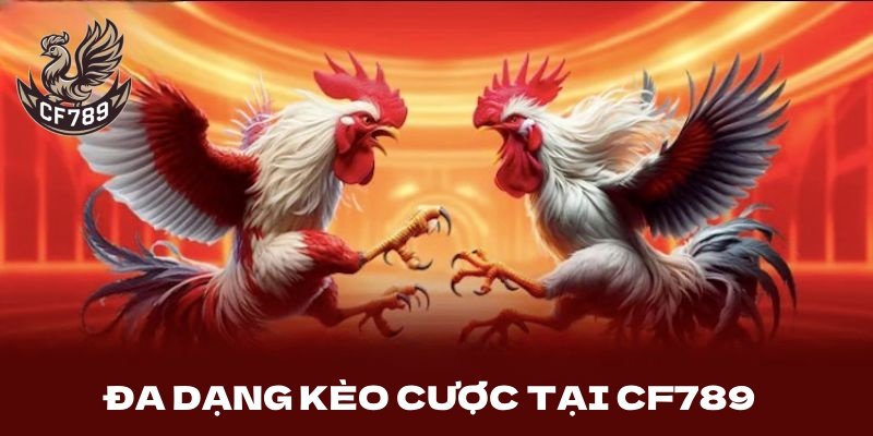 Đa dạng kèo cược